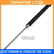 ����������� (R) Double Force / DF553379 �������� 18 ��� DF553379 ����