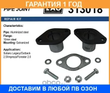 ��������� ���������� EAG / 313018 �������� 12 ��� 313018 ����