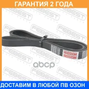 ������ ������������ 6PK1748 Febest / 881286L1750 �������� 24 ��� 881286L1750 ����