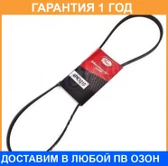 ������ ���������� Gates / 4PK1210 �������� 12 ��� ���� �� 10 �� 4PK1210 ����