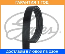 ������ ���������� Gates / 5PK1355 �������� 12 ��� 5PK1355 ����