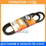 ������ �������� Gates / 6481MC �������� 12 ��� 6481MC ����