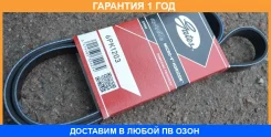 ������ ���������� Gates / 6PK1203 �������� 12 ��� 6PK1203 ����