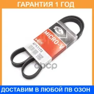 ������ ���������� Gates / 6PK1173 �������� 12 ��� 6PK1173 ����