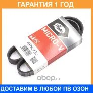 ������ ���������� Gates / 6PK923 �������� 12 ��� 6PK923 ����
