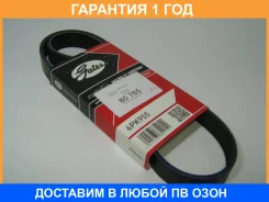 ������ ���������� Gates / 6PK955 �������� 12 ��� 6PK955 ����