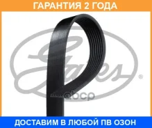 ������������ ������ Gates / 8PK1553HD �������� 24 ��� 8PK1553HD ����