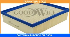 ������ ��������� Goodwill / AG221 �������� 12 ��� AG221 ����