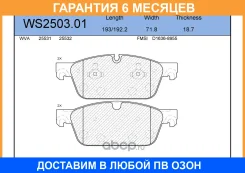 ������� ��������� �������� | ����� | Jeenice / WS250301 �������� 6 ��� WS250301 ����