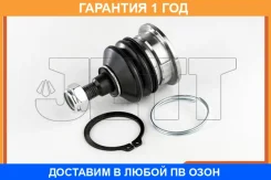 ����� ������� JETT / V61003 �������� 12 ��� V61003 ����