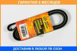 ������ JUST Drive / 6PK2050 �������� 6 ��� 6PK2050 ����
