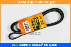 ������ ������������ JUST Drive / 7PK1988 �������� 6 ��� 7PK1988 ����