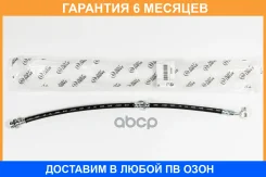 ��������� ����� �������� ����� 523�� T56173 JUST Drive / JBH0475 �������� 6 ��� JBH0475 ����