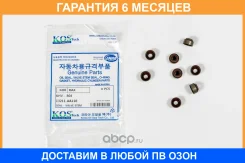 �������� ������������ Kormax / KHV804 �������� 6 ��� ���� �� 8 �� KHV804 ����