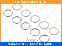 �������������� ������ Lynxauto / SG2555 �������� 24 ��� ���� �� 10 �� SG2555 ����