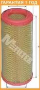 ��������� ������ M-Filter / A549 �������� 12 ��� A549 ����