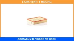 ��������� ������ MANN / C43121 �������� 1 ��� C43121 ����