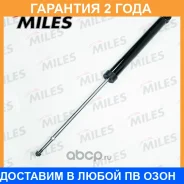 ����������� Miles / DG0213701 �������� 24 ��� DG0213701 ����