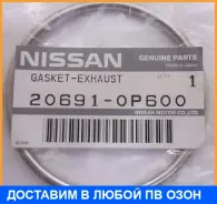 ��������� ��������� ����� ������������� Nissan / 206910P600 206910P600 ����