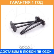 ������ ��������� NSP / NSP022221233000 �������� 12 ��� ���� �� 4 �� NSP022221233000 ����