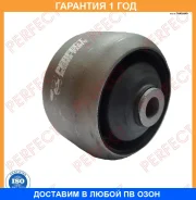 ����������� Perfect / NS65P12E01 �������� 12 ��� NS65P12E01 ����