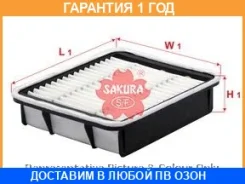 ������ ��������� Sakura / A1173 �������� 12 ��� A1173 ����