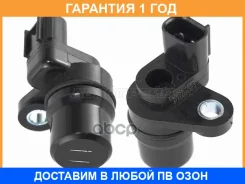 ������ ������ ������ SAT / ST8954535020 �������� 12 ��� ST8954535020 ����