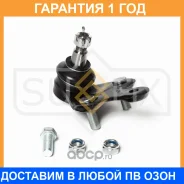������� ����� ������ R Sufix / SG1174 �������� 12 ��� SG1174 ����