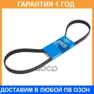 ������ ������������ SUN SUN / 5PK1055 �������� 12 ��� 5PK1055 ����