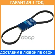 ������ �������� Mazda 626 1.8-2.2 87-92 SUN / 5PK1065 �������� 12 ��� SUN_=DY5PK1065=1581801 [MB946603] ! 5PK1065 ����