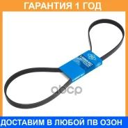 ������������ ������ SUN / 5PK1245 5PK1245 ����