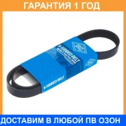 ������ ������������ SUN / 6PK1035 �������� 12 ��� 6PK1035 ����
