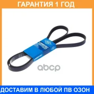 ������ ������������ Sun SUN / 6PK1875 �������� 12 ��� 6PK1875 ����
