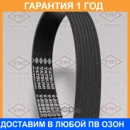 ������ ������������ 7PK1125 Tatsumi / TFB1019 �������� 12 ��� TFB1019 ����