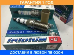����� Torch / KH6RIU11 �������� 12 ��� KH6RIU11 ����
