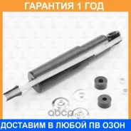 ����������� �������� ������� TORR / DV1649 �������� 12 ��� DV1649 ����