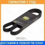 ������ ��������� ��� �/� Fiat Ducato (06-) 3.0D (6PK1165) Trialli / 6PK1165 �������� 12 ��� 6PK1165 ����