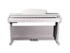 �������� ����������. ���� �����. Artesia A100 WH ����