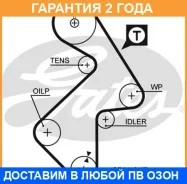 ������ ��� Gates / 5202XS �������� 24 ��� 5202XS ����