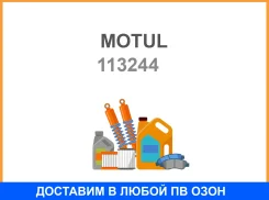 Motul Snowpower 4T