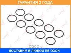 �������������� ������ Lynxauto / SO0499 �������� 24 ��� ���� �� 10 �� SO0499 ����
