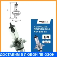 ����� ���������� Avantech H4 P43t-38 12V 100/90W 2��. Avantech / AB0014 AB0014 ����