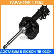 ����������� (FR) Double Force / DF333308 �������� 18 ���, ������ �������� DF333308 ����