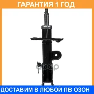 ������ ��������������� (FR) Double Force / DF339242 �������� 18 ���, ������ �������� DF339242 ����