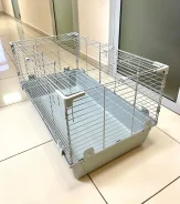 ������. ����