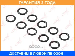�������������� ������ Lynxauto / SG2100 �������� 24 ��� ���� �� 10 �� SG2100 ����