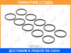 �������������� ������ Lynxauto / SG2564 �������� 24 ��� ���� �� 10 �� SG2564 ����