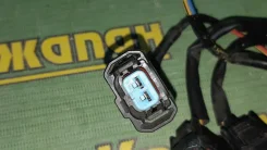 ������ �������� Honda ����