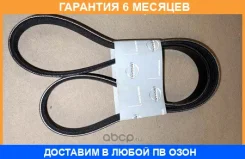 ������ ��������� Nissan / 117201KT0A �������� 6 ��� 117201KT0A ����