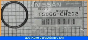 ������ �������������� Nissan / 150666N202 150666N202 ����